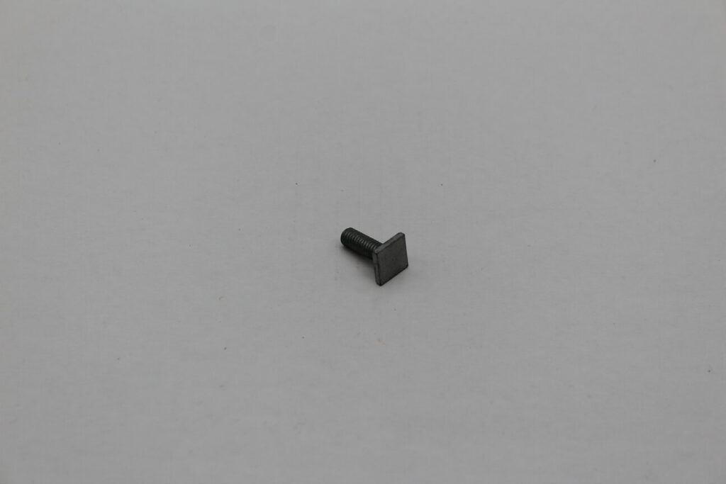 Screw