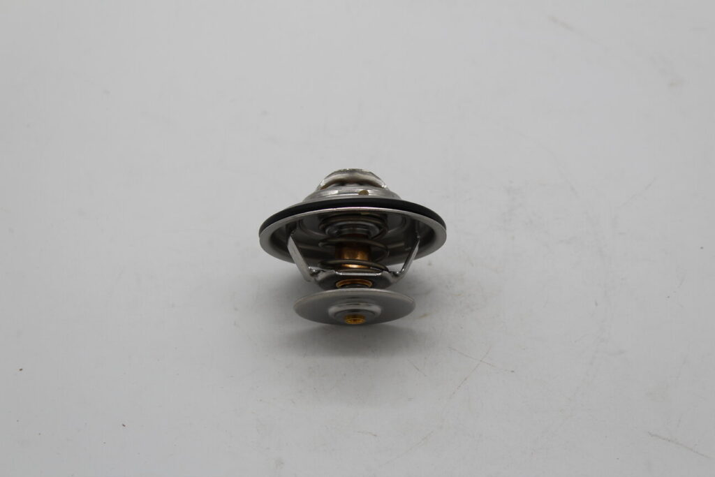 Thermostat 79c w/137873