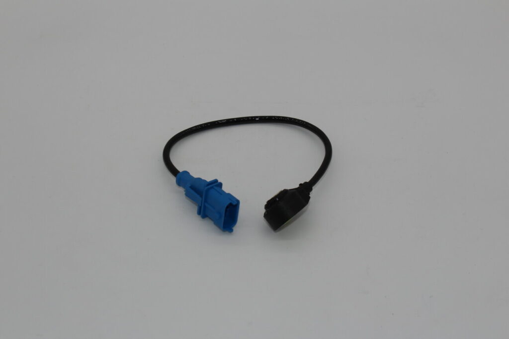 Sensor Detonation L.300