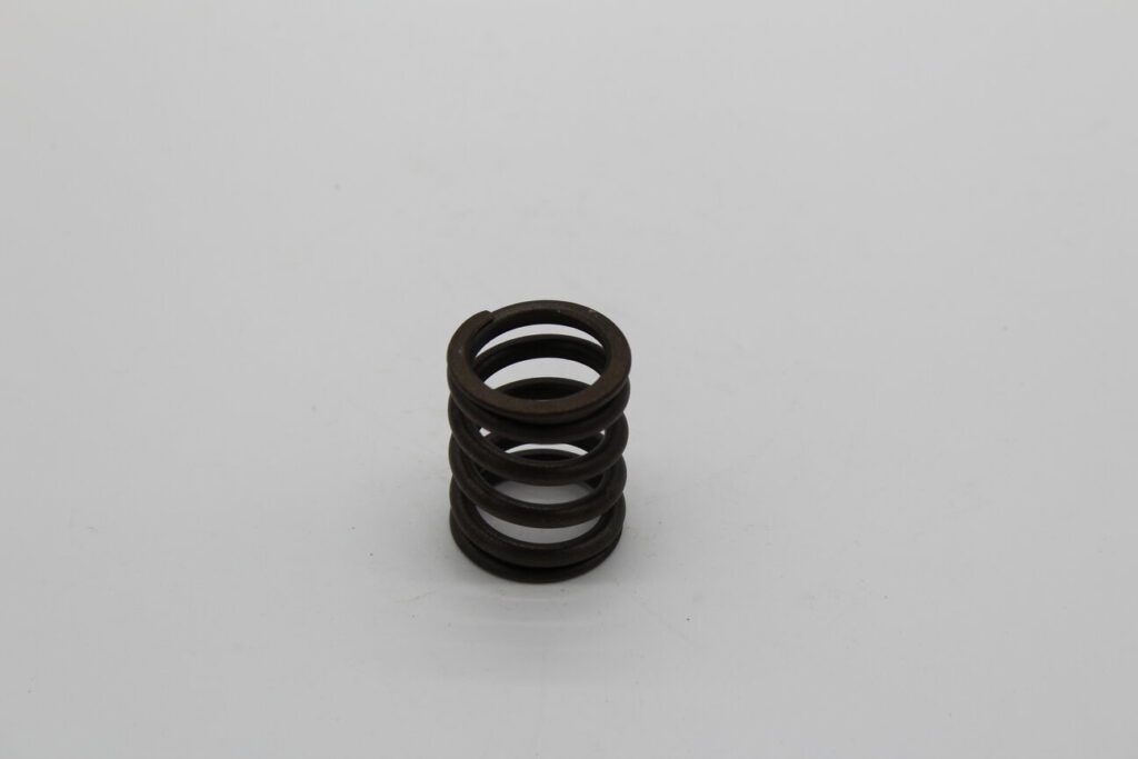 Valve Spring Outer all 2V/4cam