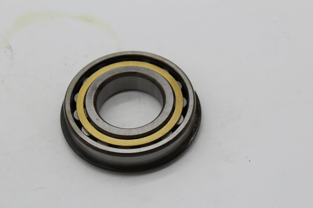 Bearing Cylindrical Roller w/Circlip