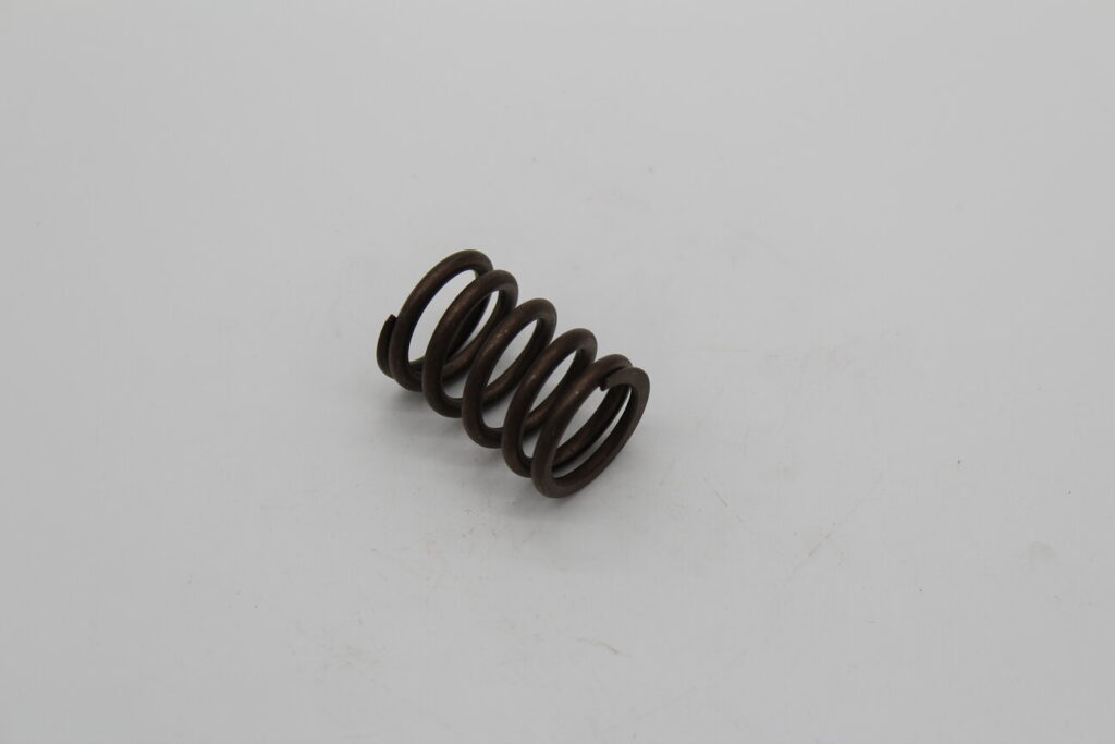 Valve Spring Outer F355