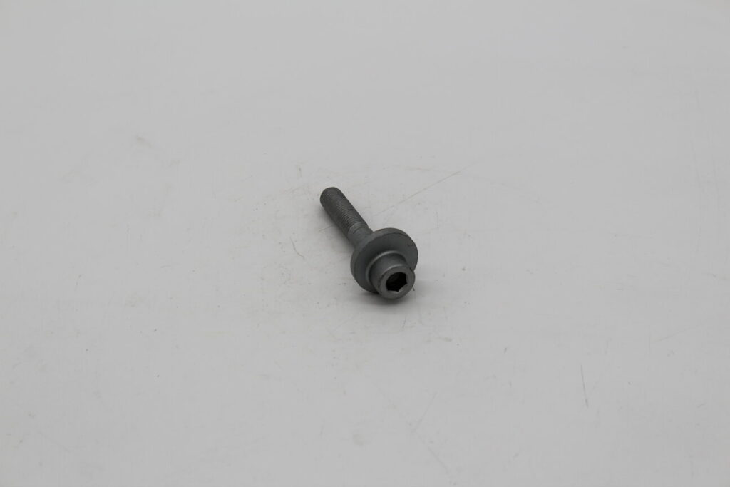 Screw Eccentrico M10xD2