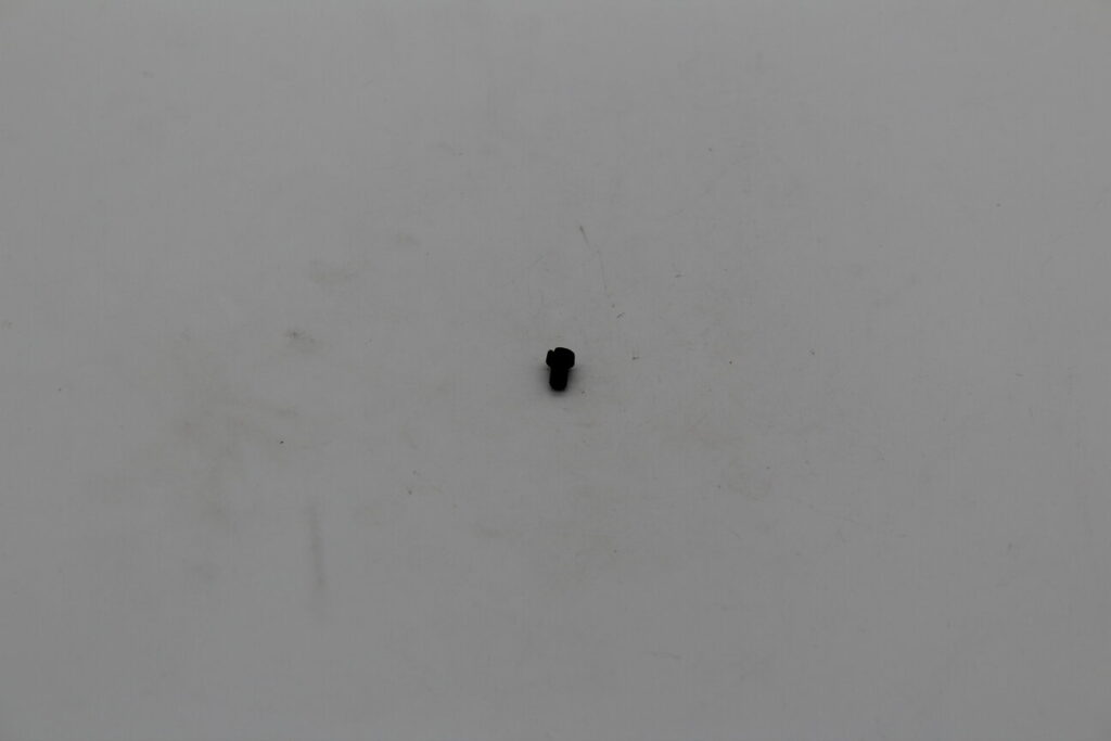 Carburetor T/Blade Screw DFI..