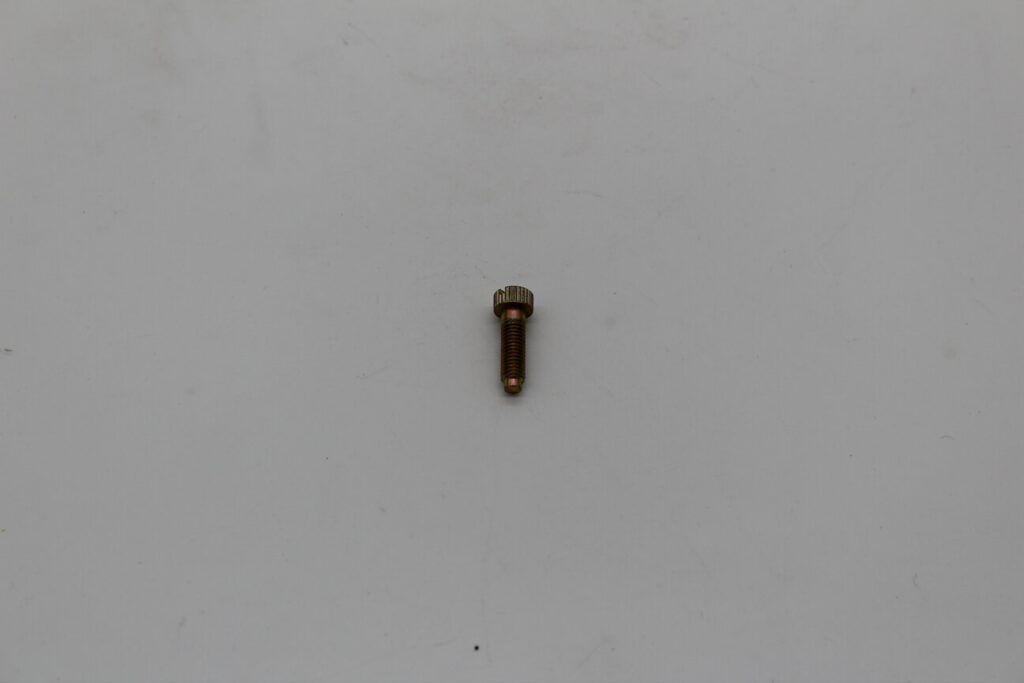Carburetor Idle Speed Screw