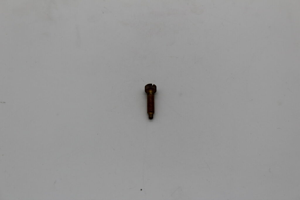 Carburetor Idle Speed Screw DCZ