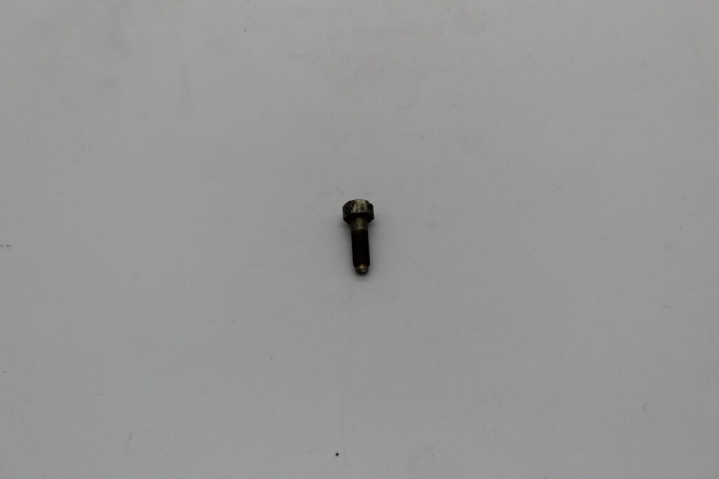 Carburetor Idle Speed Screw DFI