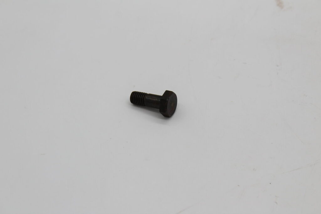 Bolt 10x25mm