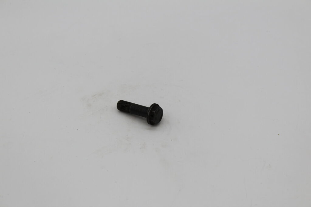 Bolt Ring Gear ZF (10x37)